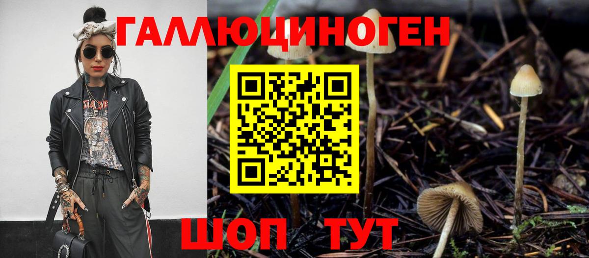 Галлюциногенные грибы Cubensis Новозыбков