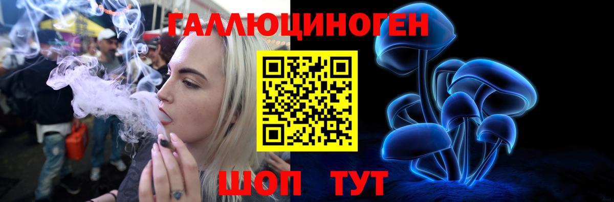 Новозыбков  Галлюциногенные грибы мицелий  Вход с VPN 